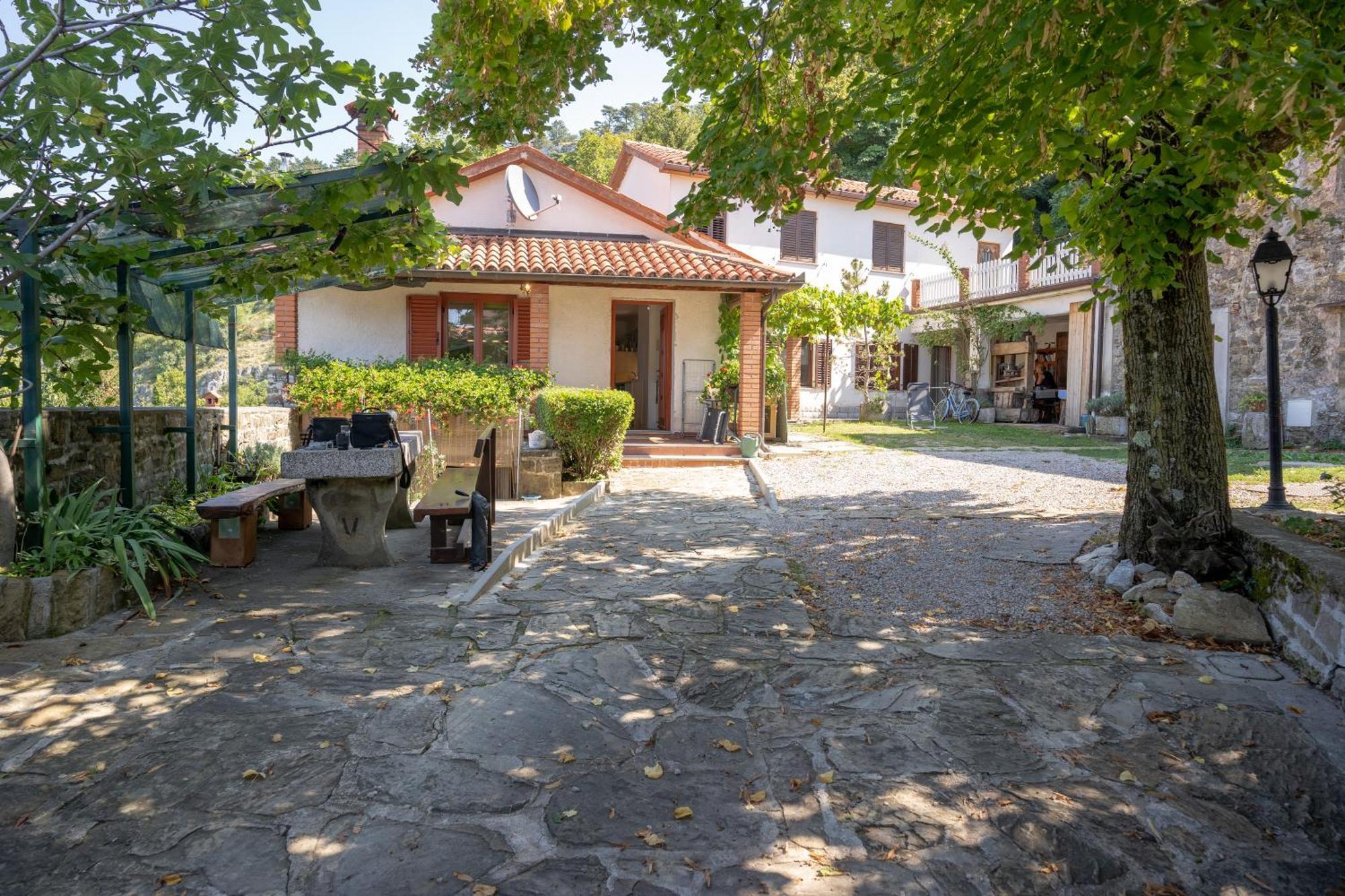 Violet'S Place Črni Kal Exteriör bild
